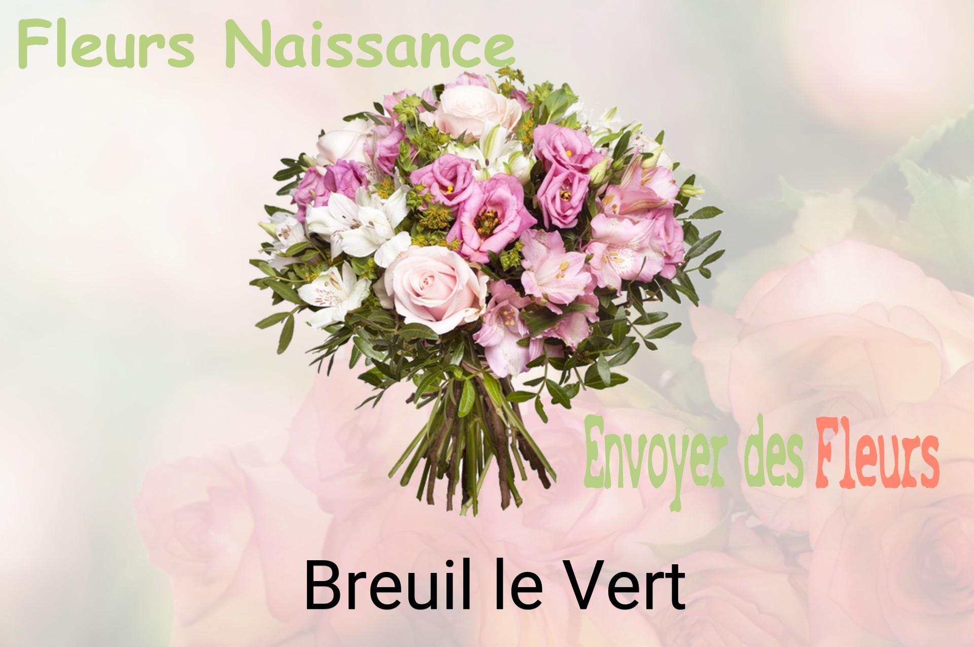 Bouquet de fleurs de naissance livré à Breuil-le-Vert
